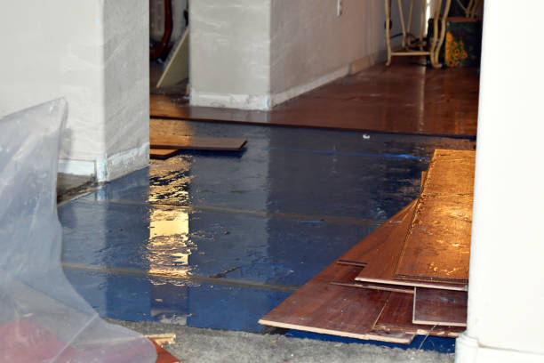 Professional Burst Pipe Cleanup technician working in Ryderwood, WA
